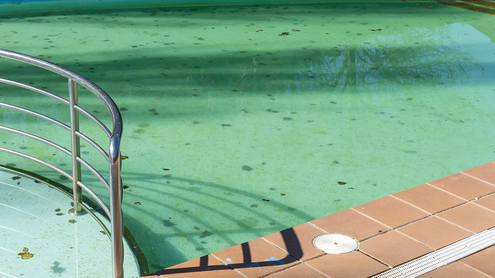 1600x900_DitryPool_Algae