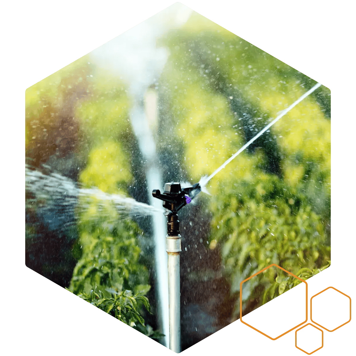 Honecomb_IrrigationWater_CU_Hexagon